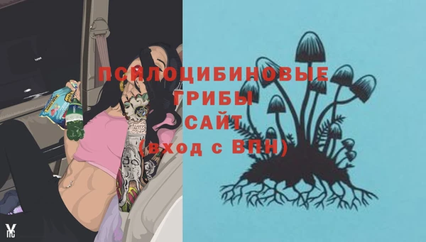 метадон Заводоуковск