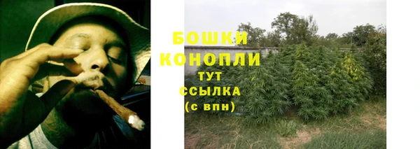 дживик Заволжск