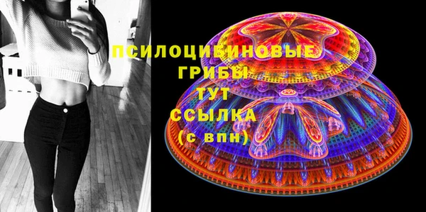 метадон Заводоуковск