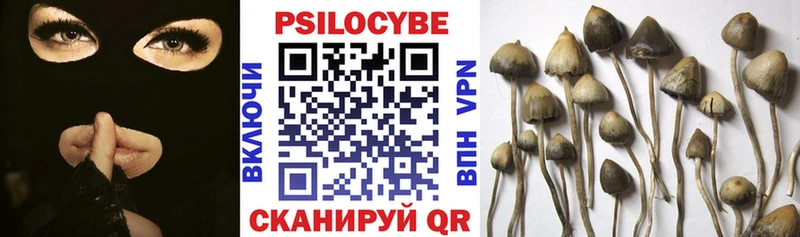 KRAKEN ССЫЛКА  Алапаевск  Псилоцибиновые грибы Psilocybe 